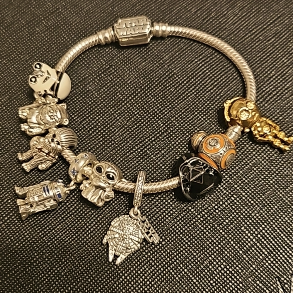 Pandora Bracelet + charms